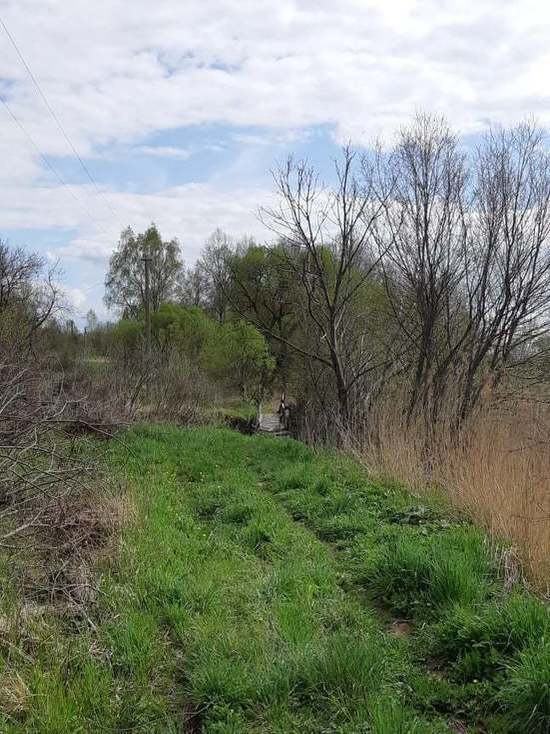 11 мая на Смоленщине будет тепло, сухо, но ветрено