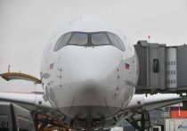 По мнению экспертов «МК», из-за пандемии коронавируса большинство отечественных авиакомпаний окончательно разорятся и навсегда останутся на земле