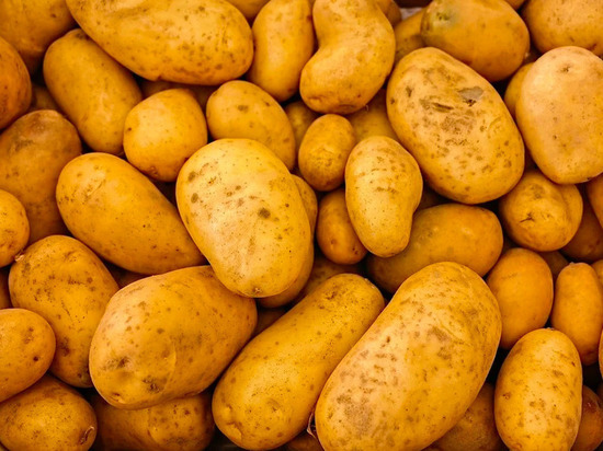 Россельхознадзор напомнил о заболевании картофеля