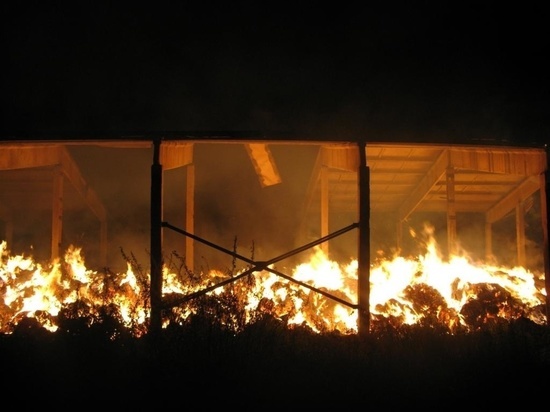 В Руднянском районе ночью сгорело 100 тонн сена