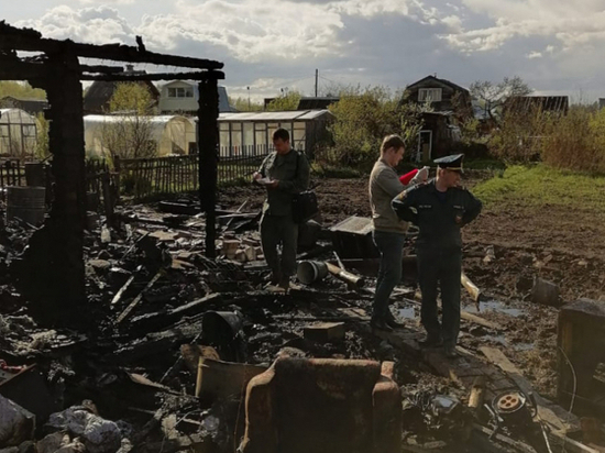 По факту пожара с тремя погибшими в Кирове завели дело
