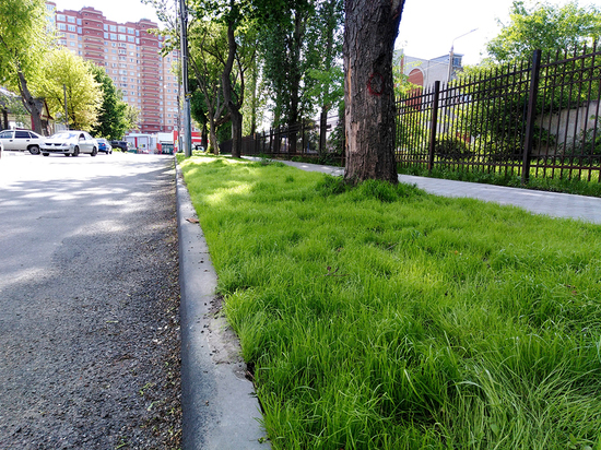 В Воронеже продолжаются работы по благоустройству