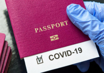 Паспорта бывают разные: внутренние, заграничные, биометрические, а теперь еще и иммунные