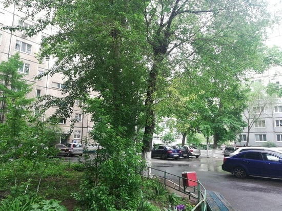 В Оренбуржье сохранится неустойчивая погода с периодическими дождями
