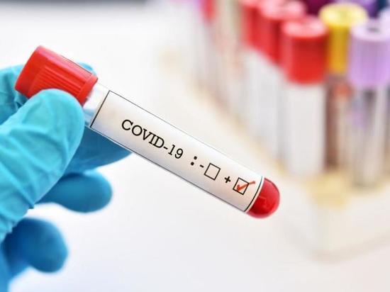 В Белгородской области за сутки выявлено 90 новых случаев Covid-19