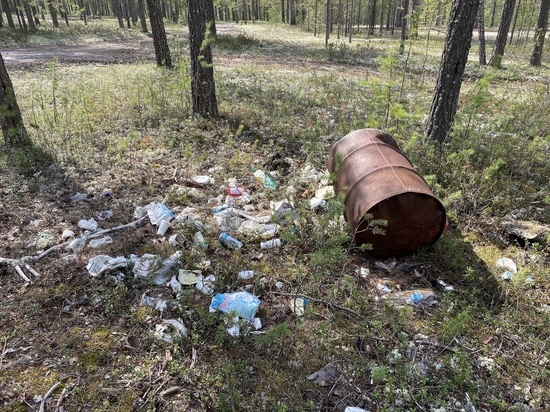 Жителей Ноябрьска возмутила свалка мусора в лесу у озера