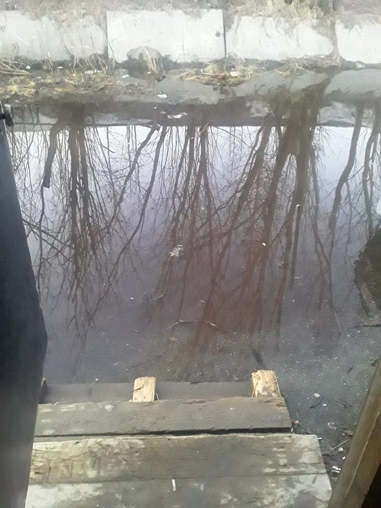 В Лабытнанги пожаловались на сломанные деревья и огромные лужи