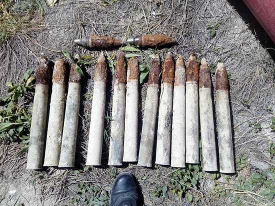 Сотрудники ФСБ нашли под Новороссийском более 120 снарядов и мин