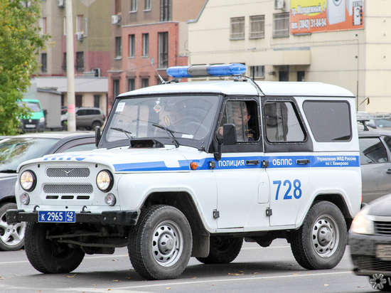 Двое родственников попытались пробраться в чужой дачный дом в Топках
