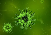 Немецкие ученые обнаружили закономерность: высокий уровень тестостерона у мужчин может помочь в борьбе против коронавируса