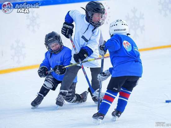 Два района в Чувашии получат гранты на развитие детского хоккея
