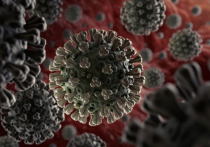 По данным нового исследования, проведенного учеными Лос-Аламосской национальной лаборатории, новый штамм коронавируса, который стал доминирующим во всем мире, является более заразным, чем его китайский «оригинал»