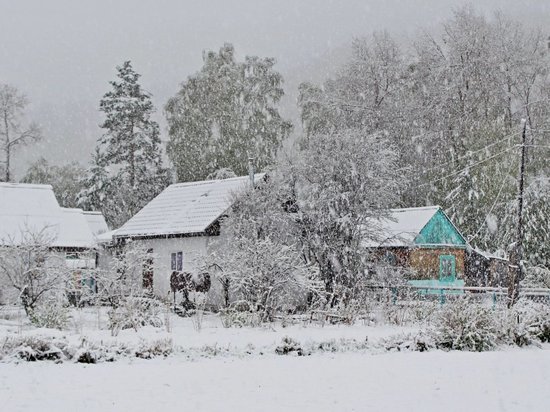 Жители Бурятии делятся впечатлениями от первого майского снега