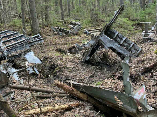 Эхо войны: в Солигаличском районе Костромской области найдены обломки самолет B-25 Mitchell