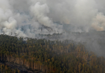 В июне-июле наиболее сложная лесопожарная обстановка ожидается в Иркутской области, Красноярском крае и Якутии