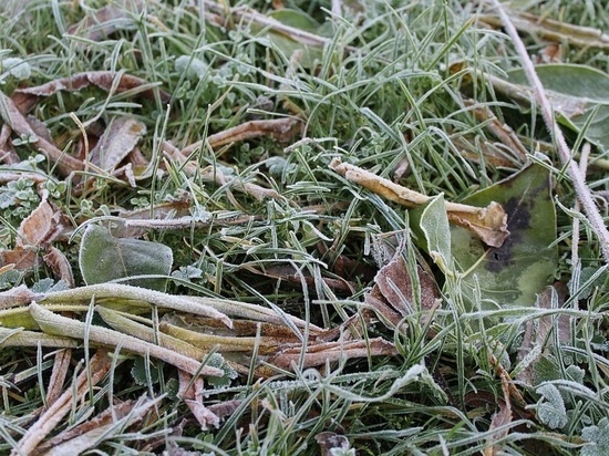 В Калужской области обещают заморозки