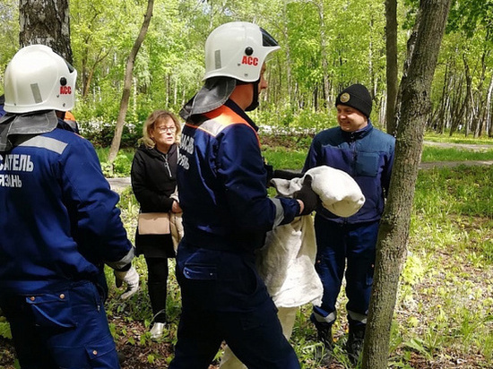 В Рязани спасатели вернули совенка в гнездо