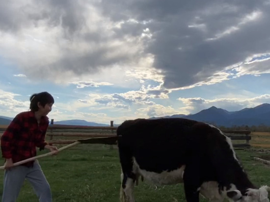 «Хватит жрать мой чеснок!»: блогер из Улан-Удэ, заболевшая раком, гоняет коров в маленьком улусе
