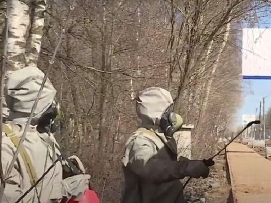 УК Кировской области обрабатывают скверы, парки и площадки УК Кировской области обрабатывают скверы, парки и площадки