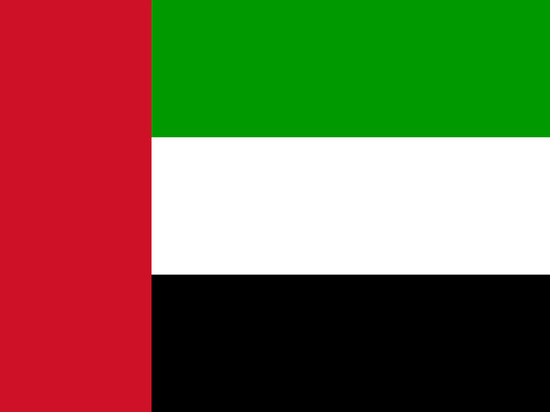 СМИ: В Абу-Даби при теракте погиб глава МИД ОАЭ