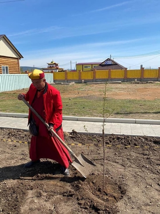 Ламы Иволгинского дацана помолятся за деревья, высаженные мэрией Улан-Удэ