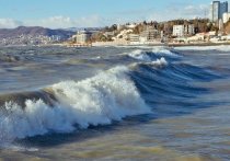 Туристический сезон на Черноморском побережье может состояться
