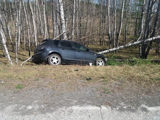 В Хакасии водитель погиб, врезавшись в дерево