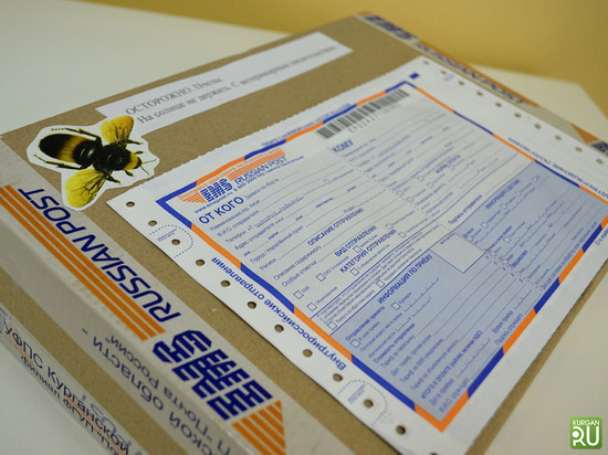 Первую "живую посылку" с пчелами доставили в Свердловскую область