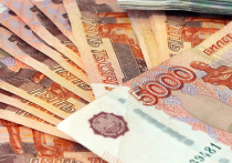 В рамках проекта #МирПомогаетВрачам платежная система перевела 3,8 млн рублей благотворительному фонду «Живой»