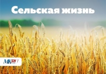 В Псковской области реализуется национальная программа «Агростартап»