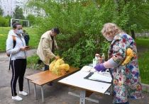 В школах Серпухова 18 мая стартовала третья волна выдачи продуктовых наборов учащимся