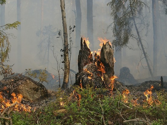 Больше 3 тыс га леса горит в Забайкалье