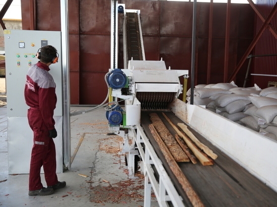 Пеллетный завод к отопительному сезону запустят в Красночикойском районе
