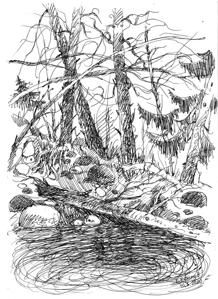 Музей в Тверской области получил дары в честь профессионального праздника