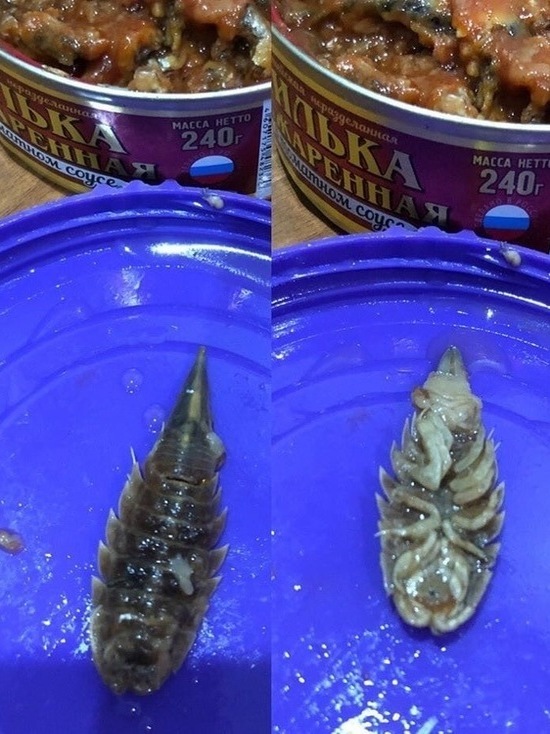 Консервы с морским тараканом купили жители Ноябрьска в «Магните»