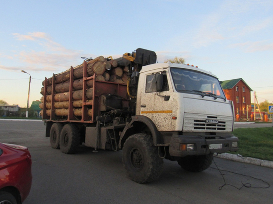 В Чувашии лесник незаконно продал древесину на полмиллиона рублей