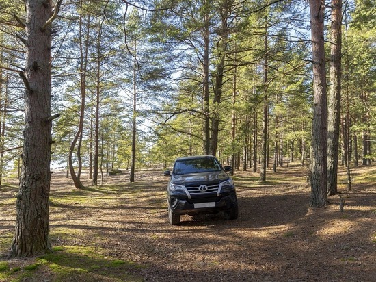 Стильные авто берегли для самиитов