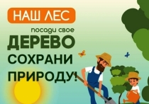 Жители Могойтуйского района Забайкалья присоединились к акции «Посади дерево – сохрани природу!», приуроченной к поддержке поправки в Конституцию РФ о сохранении природных богатств