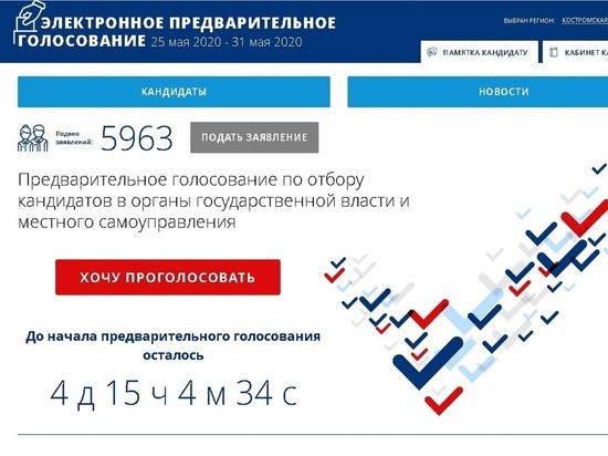 Праймериз «Единой России» в Костроме пройдут в режиме он-лайн