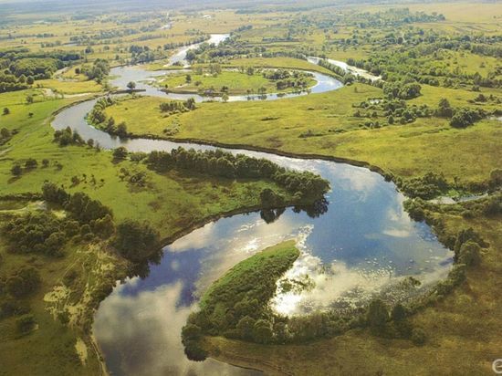 В Курской области реабилитируют реку Сейм - МК Черноземье