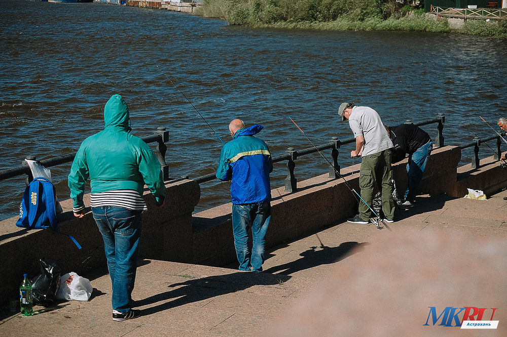 Улов рыбака астрахань интернет отзывы. Рыбаки на набережной Астрахани. Рыбак город фото. Моя Астрахань набережная рыбаки. День рыбака Астрахань.