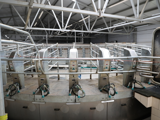 Чувашия окажет молочным фермам дополнительную поддержку