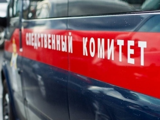 В Рязанской области пенсионера осудят за попытку убийства соседа
