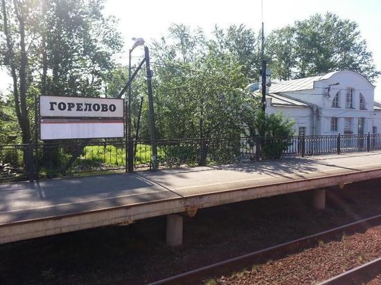 Горелово фото спб Koronavirus found in one hostel of migrants to Leningrad Region Society Seldon N