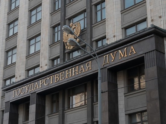 В Госдуму внесли законопроект о ввозе дефицитных санкционных товаров