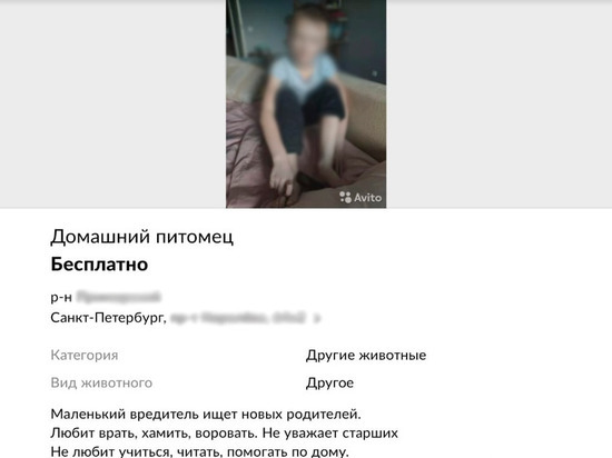 Следователи начали проверку объявления о передаче ребёнка в Петербурге