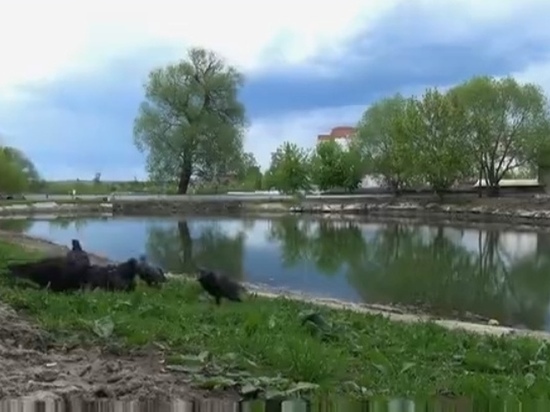 В Калуге благоустроят знаменитый Пуховский пруд