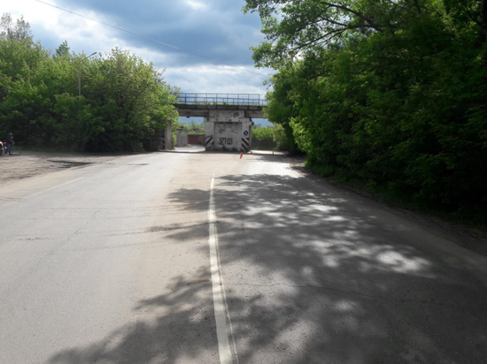 В Тамбовской области «Лада» врезалась в мост