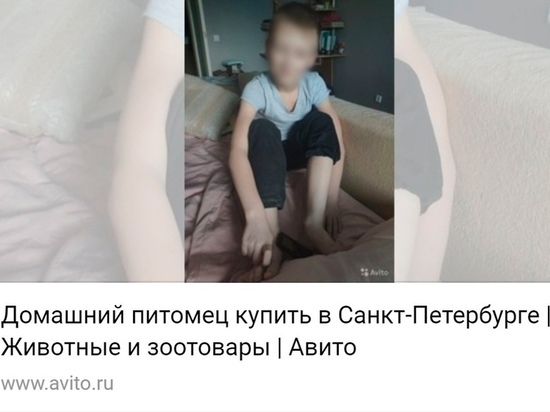 Житель Петербурга решил отдать ребенка в «добрые руки»