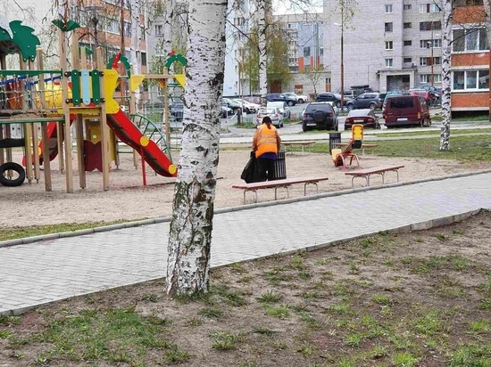  Столица Карелии становится чище